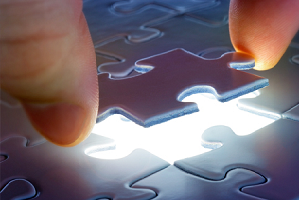 Consulting Services